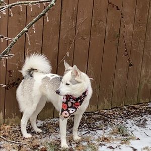 Meet your Posher, Shayla